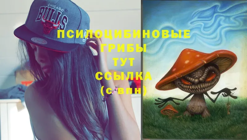 Псилоцибиновые грибы Cubensis  Сосновка 